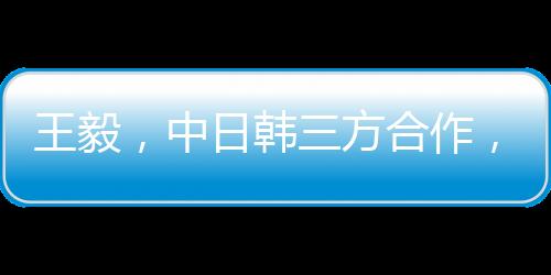 王毅，中日韩三方合作，远亲不如近邻