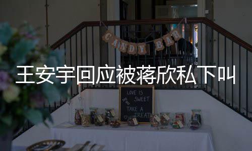 王安宇回应被蒋欣私下叫儿子，揭示背后的故事与真相