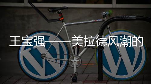 王宝强——美拉德风潮的始祖