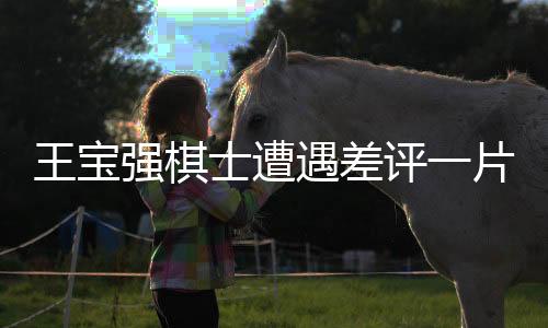 王宝强棋士遭遇差评一片，深度剖析其背后原因及影响