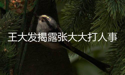 王大发揭露张大大打人事件，恶劣行为非首次
