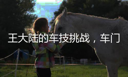 王大陆的车技挑战，车门开启的难题