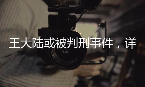 王大陆或被判刑事件，详细解读与多方关注
