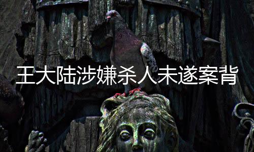 王大陆涉嫌杀人未遂案背后的真相揭秘，经纪人的回应与案件深度剖析