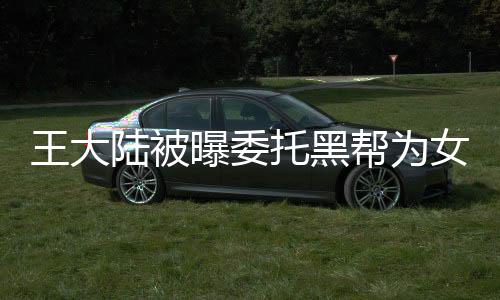 王大陆被曝委托黑帮为女友讨债，事件内幕揭秘
