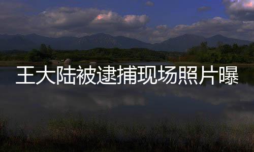 王大陆被逮捕现场照片曝光深度报道