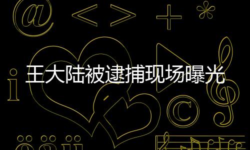 王大陆被逮捕现场曝光