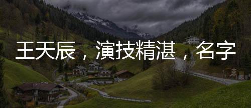 王天辰，演技精湛，名字深刻印在观众心中