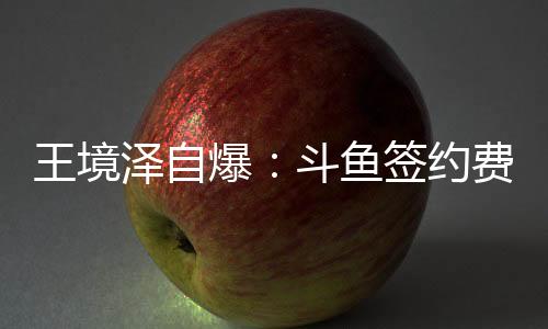 王境泽自爆：斗鱼签约费曾高达1500万 对真香ptsd