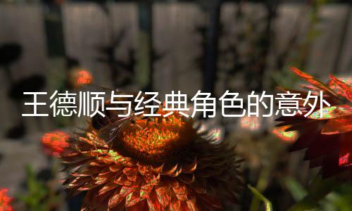 王德顺与经典角色的意外缘分——叱咤动画界的配音之旅揭秘