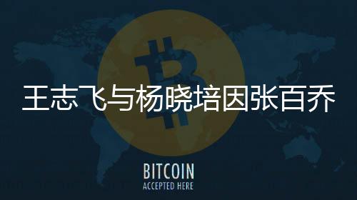 王志飞与杨晓培因张百乔发生冲突，事件深度解读