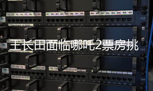 王长田面临哪吒2票房挑战，能否突破70亿大关的争议与期待
