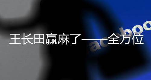 王长田赢麻了——全方位解析其成功之道