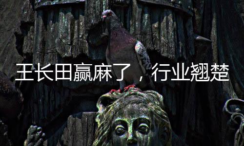 王长田赢麻了，行业翘楚的崛起之路