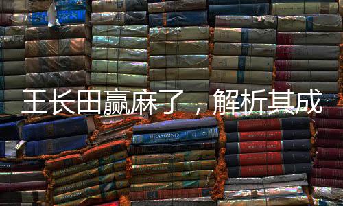 王长田赢麻了，解析其成功背后的九大驱动力