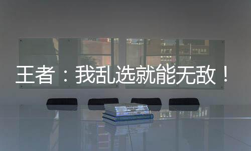 王者：我乱选就能无敌！