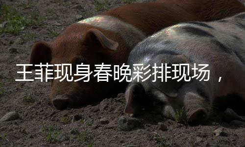王菲现身春晚彩排现场，亲切与路人打招呼，星光璀璨，温暖人心