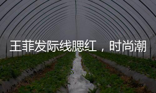 王菲发际线腮红，时尚潮流的新焦点