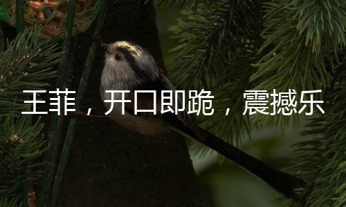 王菲，开口即跪，震撼乐坛的传奇之声