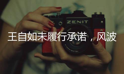 王自如未履行承诺，风波背后的故事