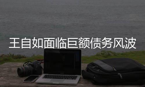 王自如面临巨额债务风波，2878万未履行引关注