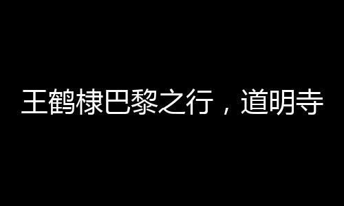 王鹤棣巴黎之行，道明寺风格的时尚演绎