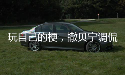 玩自己的梗，撒贝宁调侃机器人缺眉毛，展现科技与娱乐的交融魅力