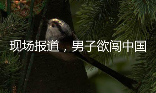 现场报道，男子欲闯中国驻韩使馆被成功阻止事件经过概述