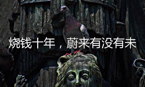 烧钱十年，蔚来有没有未来？