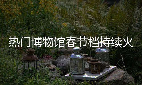 热门博物馆春节档持续火爆 多地景区发布门票提示