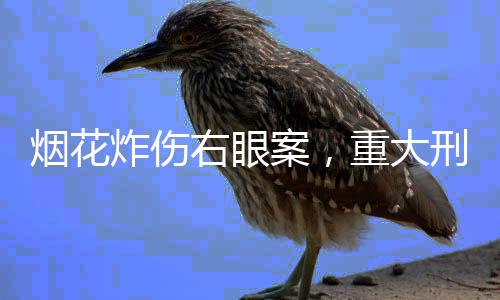烟花炸伤右眼案，重大刑事案件展开调查