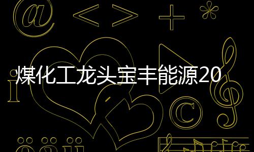 煤化工龙头宝丰能源2024扣非净利67.8亿，增长13.97%