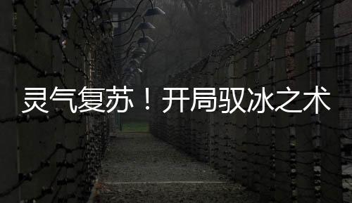灵气复苏！开局驭冰之术