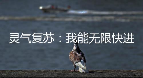 灵气复苏：我能无限快进
