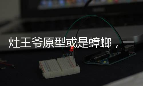 灶王爷原型或是蟑螂，一种文化与科学的有趣交汇