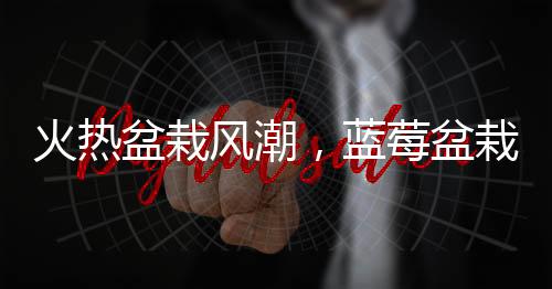 火热盆栽风潮，蓝莓盆栽成为新晋绿色时尚