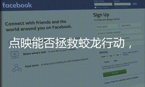 点映能否拯救蛟龙行动，深度解析与前瞻