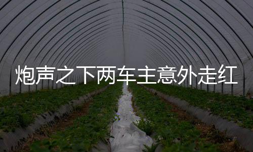 炮声之下两车主意外走红，涨粉逾二十万背后的故事