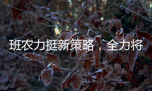 班农力挺新策略，全力将马斯克逐出白宫