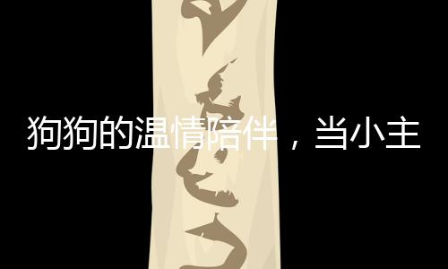 狗狗的温情陪伴，当小主人踏上归途，狗狗主动趴下做脚垫子