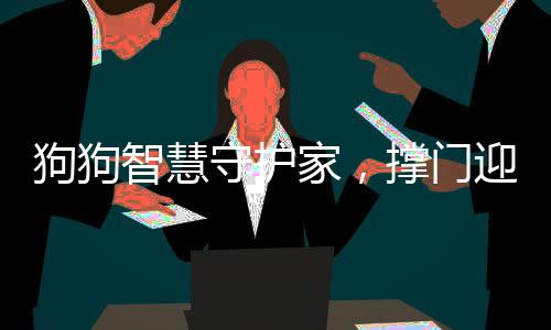 狗狗智慧守护家，撑门迎接奶奶的温馨瞬间