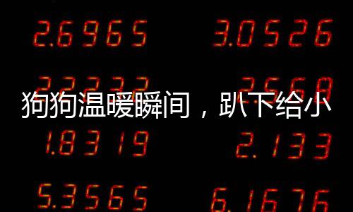 狗狗温暖瞬间，趴下给小主人当脚垫子的感人画面