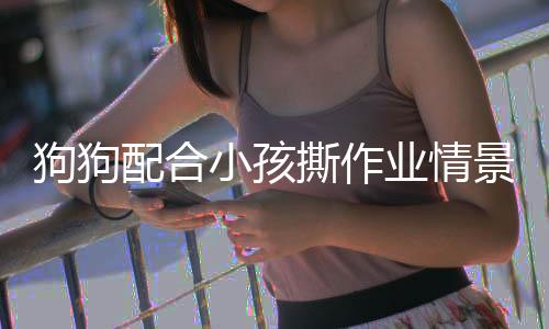 狗狗配合小孩撕作业情景被家长捕捉，温馨互动展现人与动物和谐共生