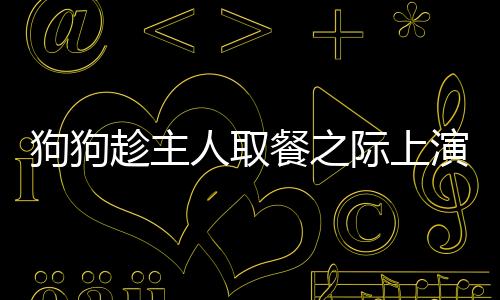 狗狗趁主人取餐之际上演大口偷吃秀