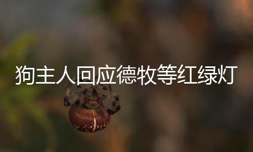 狗主人回应德牧等红绿灯时突然跳车事件