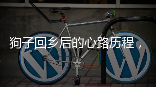 狗子回乡后的心路历程，天天挂念着城市里的家