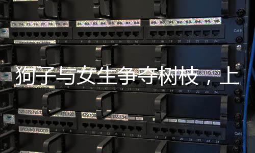 狗子与女生争夺树枝，上演机智躲腿记