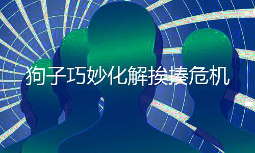 狗子巧妙化解挨揍危机
