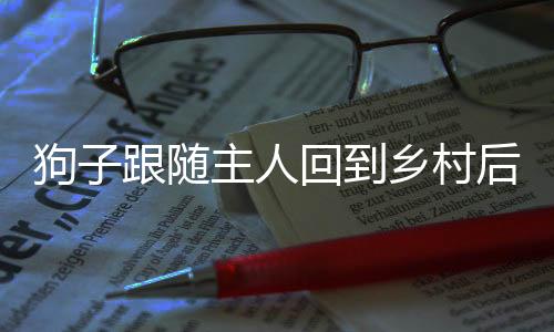 狗子跟随主人回到乡村后的种种归家情怀