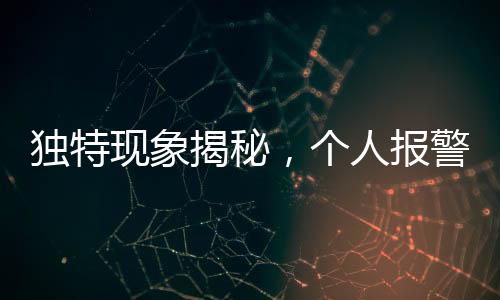 独特现象揭秘，个人报警自我举报行为探讨